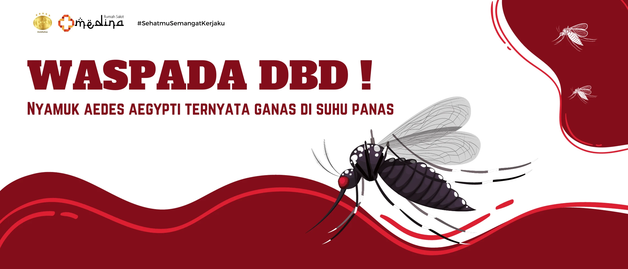 Waspada DBD, Nyamuk Aedes Aegypti Ternyata Ganas di Suhu Panas !